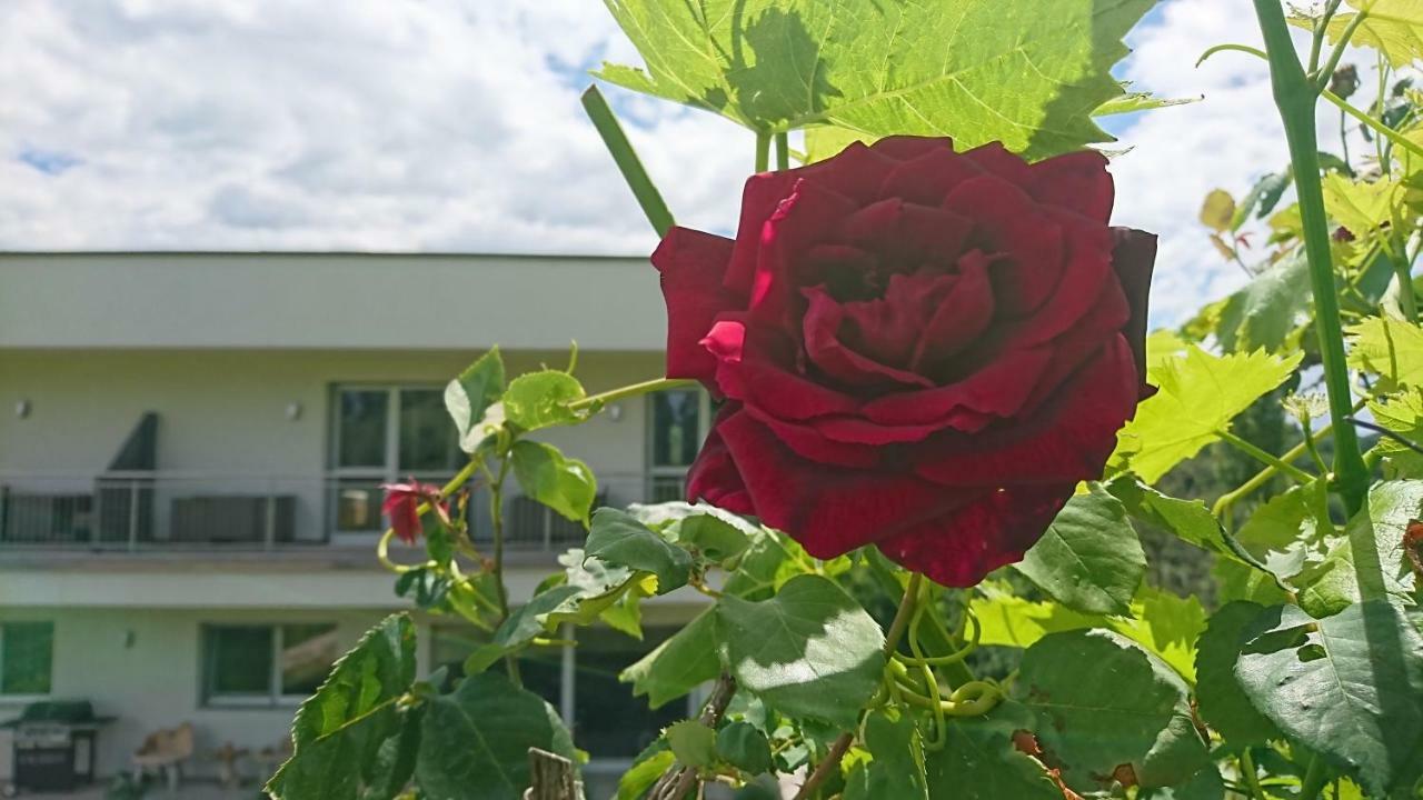 Hotel Toso Genussreich Leutschach Zewnętrze zdjęcie